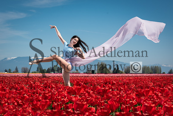Dancing in the Tulip Fields