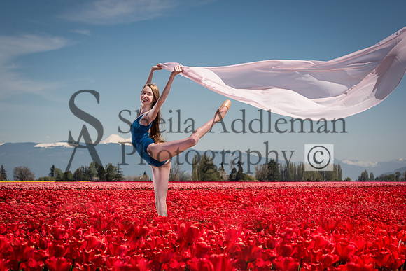Arabesque in the Tulips