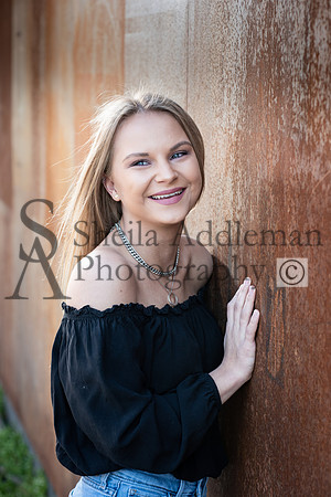 SA8_0335 copy