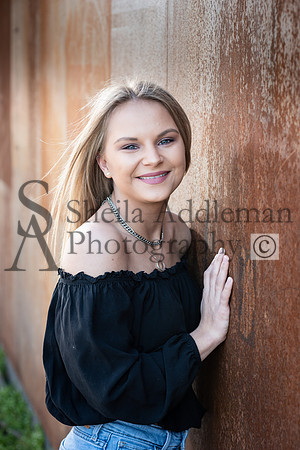 SA8_0338 copy