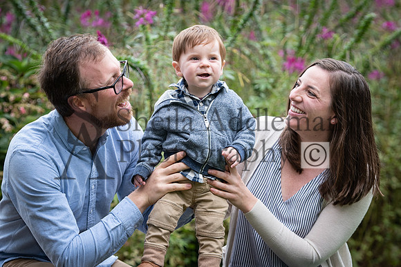 GS1_2810 copy