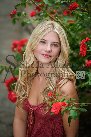DSC_8334
