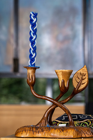 _SAP6600